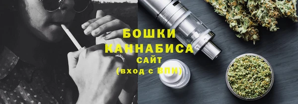 шишки Куйбышев