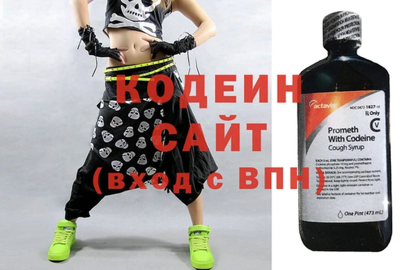 прущие грибы Лабытнанги